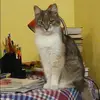 Отзыв от Виктория Филатова
